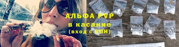 прущие крисы Карпинск