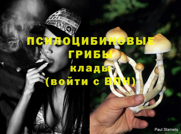 бошки Касимов